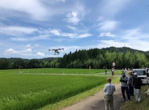 ドローンによる水稲防除