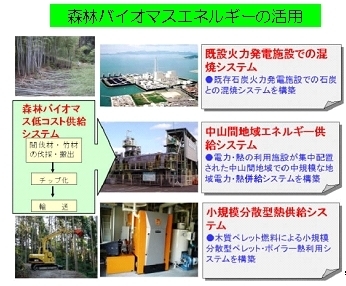 森林バイオマスエネルギーとしての活用の画像