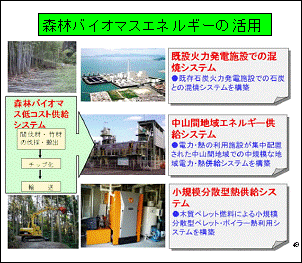 森林バイオマスエネルギーの活用