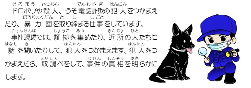 ドロボウや殺人、うそ電話詐欺の犯人をつかまえたり、暴力団を取り締まる仕事をしています。事件現場では、証拠を集めたり、近所の人たちに話を聞いたりして、犯人をつかまえます。犯人をつかまえたら、取調べをして、事件の真相を明らかにします。