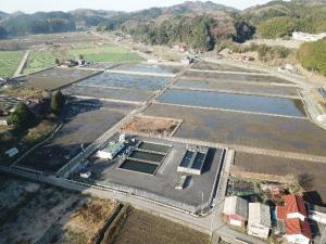 ほ場整備された農地