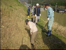 水路の保全管理活動