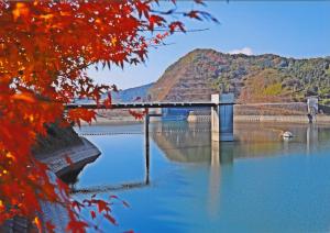 秋の米泉湖