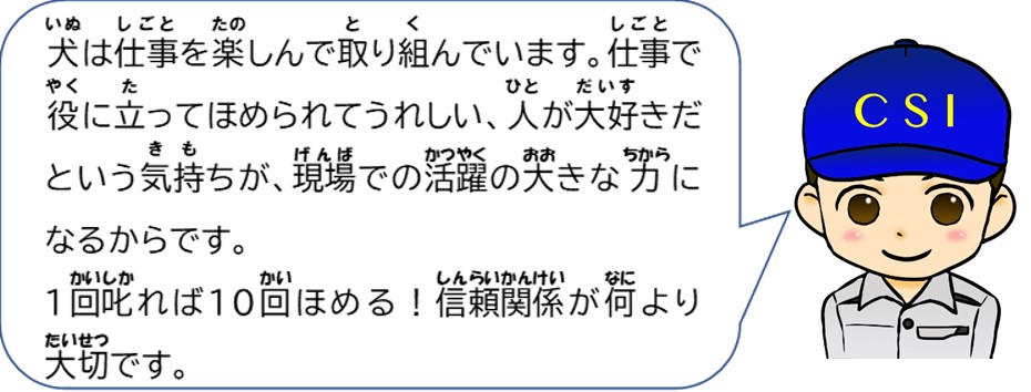 犬は仕事を楽しんで取り組んでいます。仕事で役に立ってほめられて嬉しい、人が大好きだという気持ちが現場での活躍の大きな力になるからです。１回叱れば１０回ほめる！信頼関係が何より大切です。