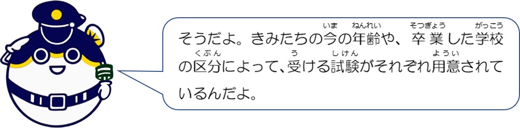 そうだよ。きみたちの今の年齢や、卒業した学校の区分によって、受ける試験がそれぞれ用意されているんだよ。