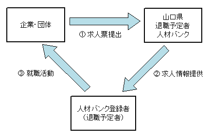 採用までの流れのイメージ図