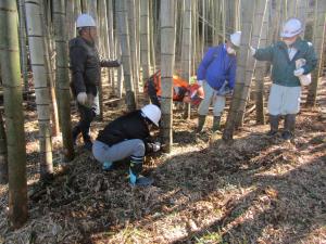 実習「竹林の整備方法（伐採）」