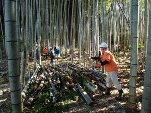実習「竹林の整備方法（整理）」