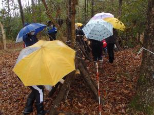 雨模様のシイタケ収穫体験