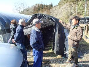 小型ビニールハウスのほだ場