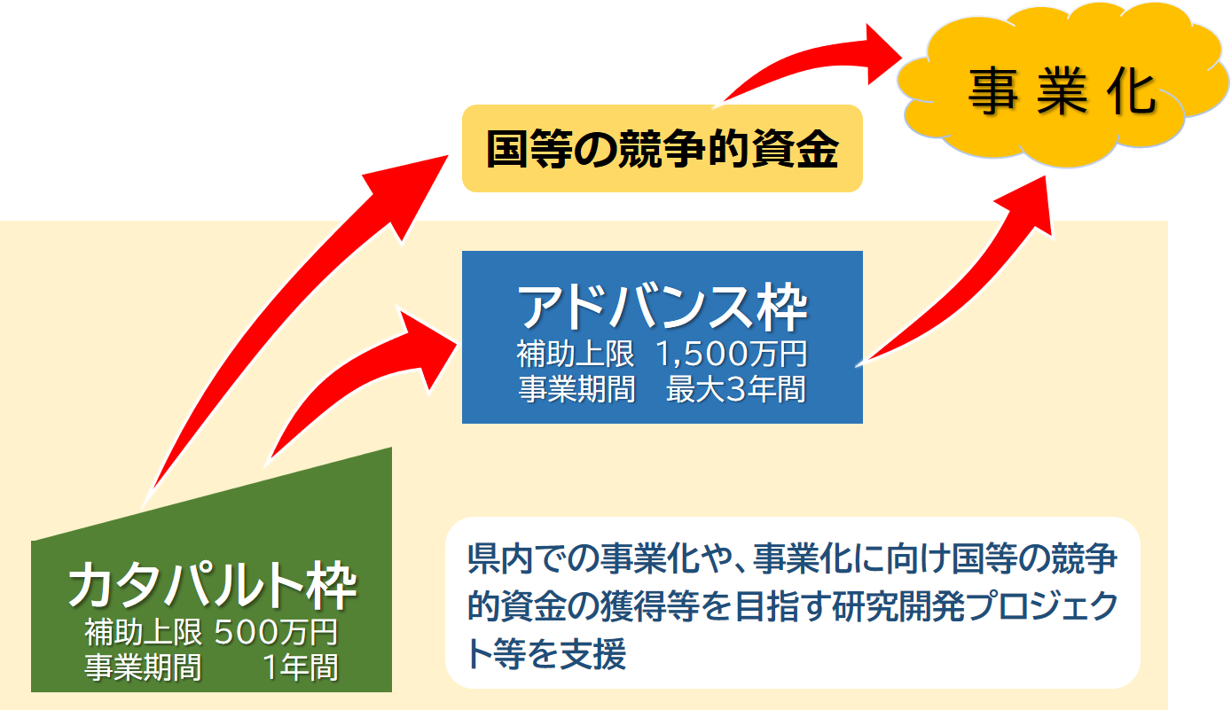 加速化補助金