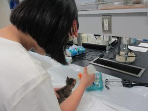 体験の様子②