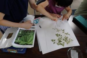 植物教室の様子