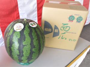大きな「萩相島スイカ」