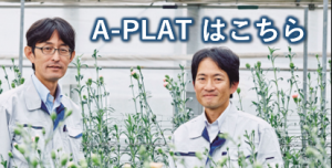 山口県農林総合技術C
