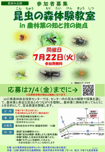 昆虫の森募集チラシ