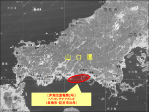 赤潮発生地域図