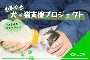 トップ