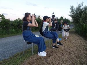 ツバメのねぐら入り観察会