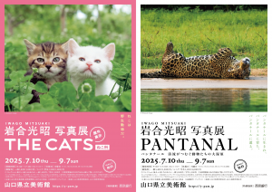 ＰＡＮＴＡＮＡＬ・TEH　ＣＡＴＳ