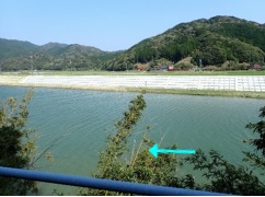 粟野川