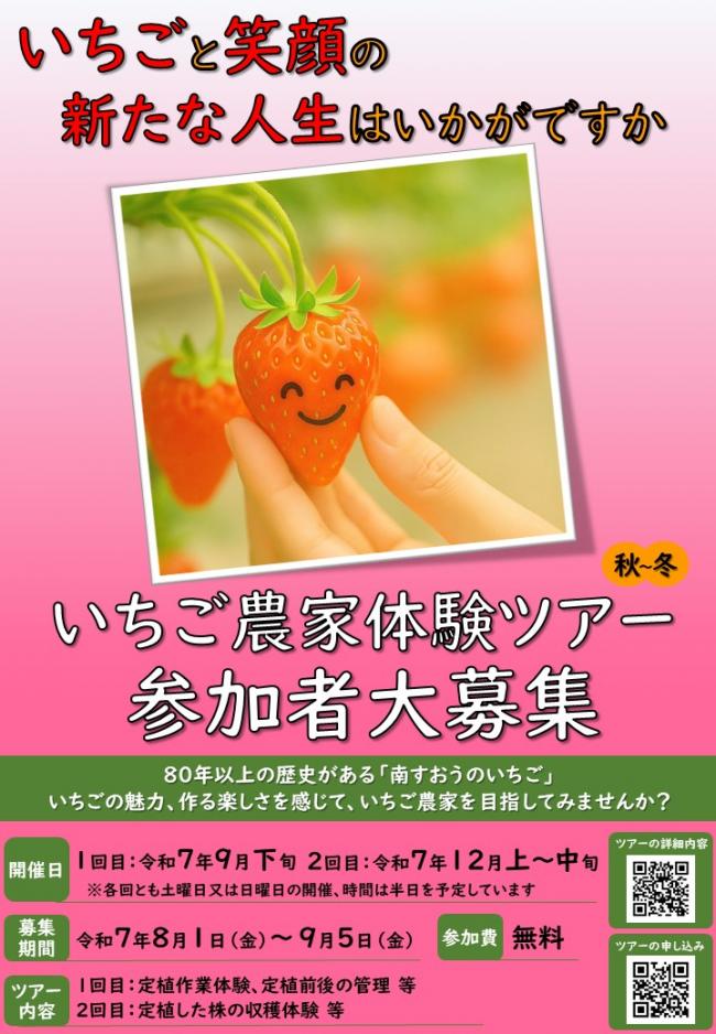 いちご農家体験ツアーちらし