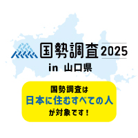 国勢調査　画像