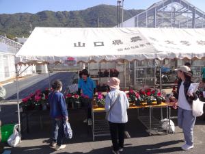 花の販売