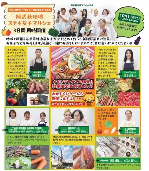 チラシ