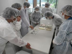 見学の様子1