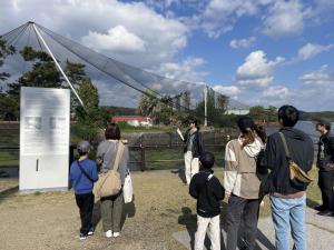 ペリカン島でのクイズラリーの様子