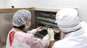 乾燥加工技術講座1