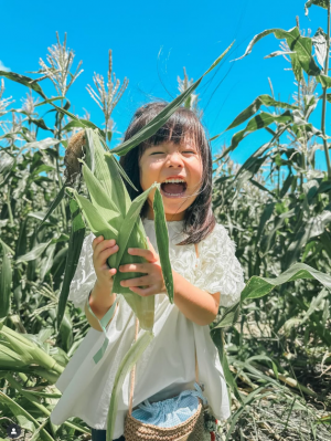 ママ!とうもろこし採れたよ!
