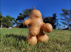 じゃがいもの妖精