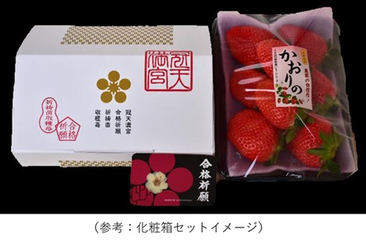 化粧箱セットイメージ