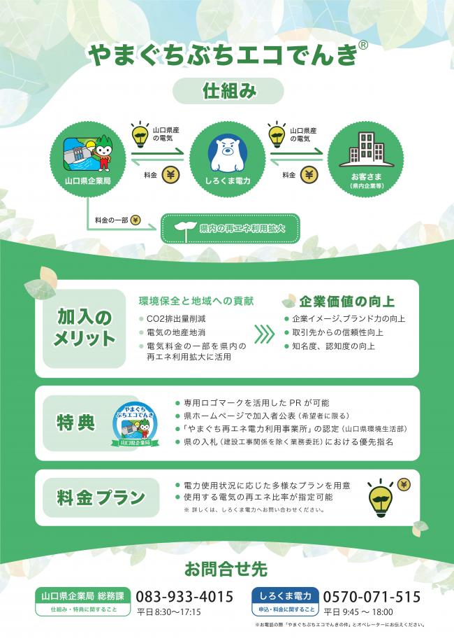 【チラシ(裏面)】やまぐちぶちエコでんき