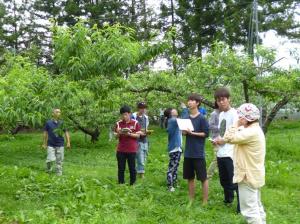 果樹園内の現地調査