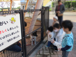 犬とのふれあい