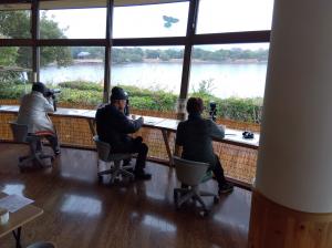 Tタイムバードウォッチング