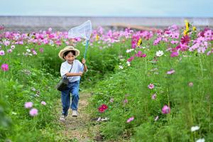 ちょうちょ、待って！