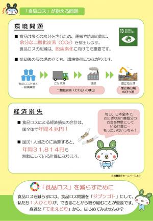 「てまえどり」消費者向けチラシ（裏）