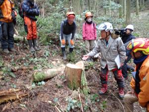 切株を教材に研修