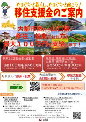 移住支援金チラシ