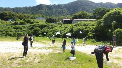 昆虫を観察・採集しよう