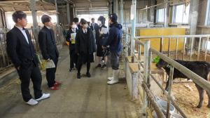 畜産専攻の体験