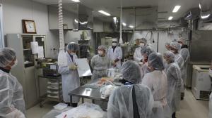 フリーズドライ2