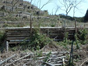 美祢市西厚保町の竹の棚積みの写真