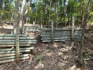 美祢市秋芳町の棚積みされた竹の写真