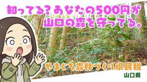 動画サムネイル　知ってる？あなたの500円が、山口の森林を守っている。
