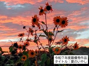 令和７年度最優秀賞作品　タイトル：夏のいやし